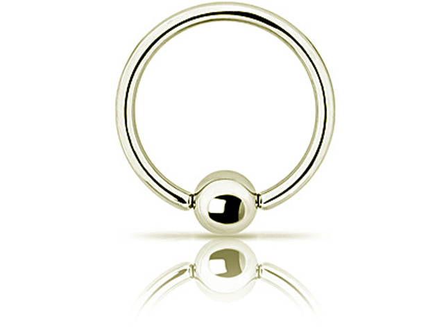 SS316L ZIRCON STEEL BALL CLOSURE RINGS