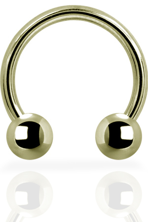 SS316L ZIRCON STEEL MICRO CIRCULAR BARBELLS