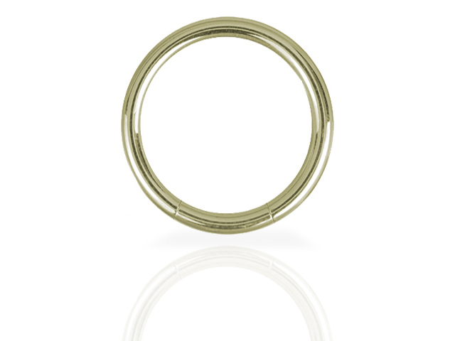 SS316L ZIRCON STEEL SMOOTH SEGMENT RINGS