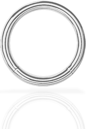TITANIUM SMOOTH SEGMENT RING