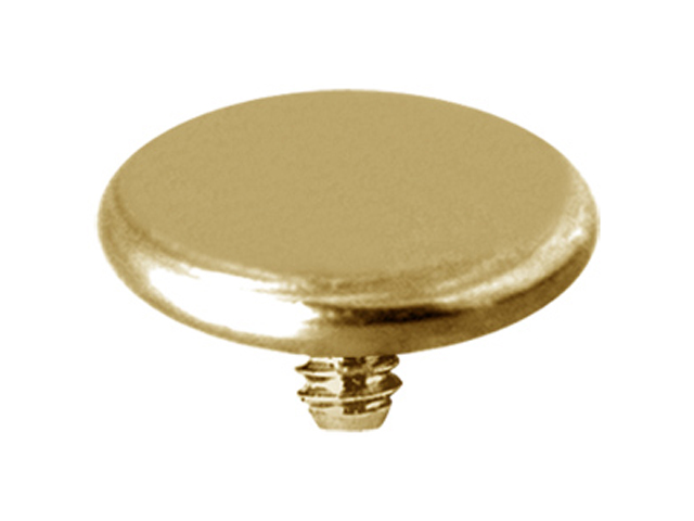 GOLD PVD TITANIUM INTERNAL ATTACHMENT (DISC)