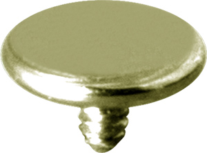 ZIRCON TITANIUM INTERNAL ATTACHMENT (DISC)