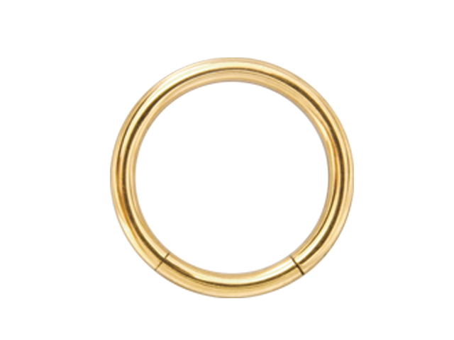 SS316L GOLD PVD STEEL SMOOTH SEGMENT RINGS