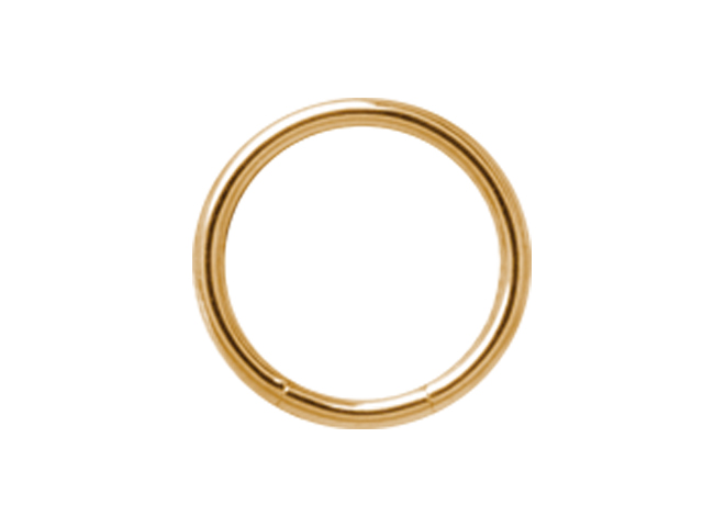 SS316L GOLD PVD STEEL SMOOTH SEGMENT RINGS