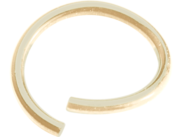 SS316L ZIRCON STEEL CONTINOUS RING