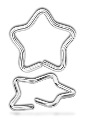 SS316L CONTINOUS ANNEALED STAR RING