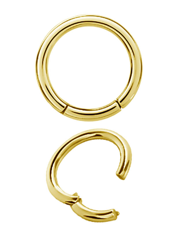 SS316L GOLD PVD HINGED SEGMENT RING (2.0MM)