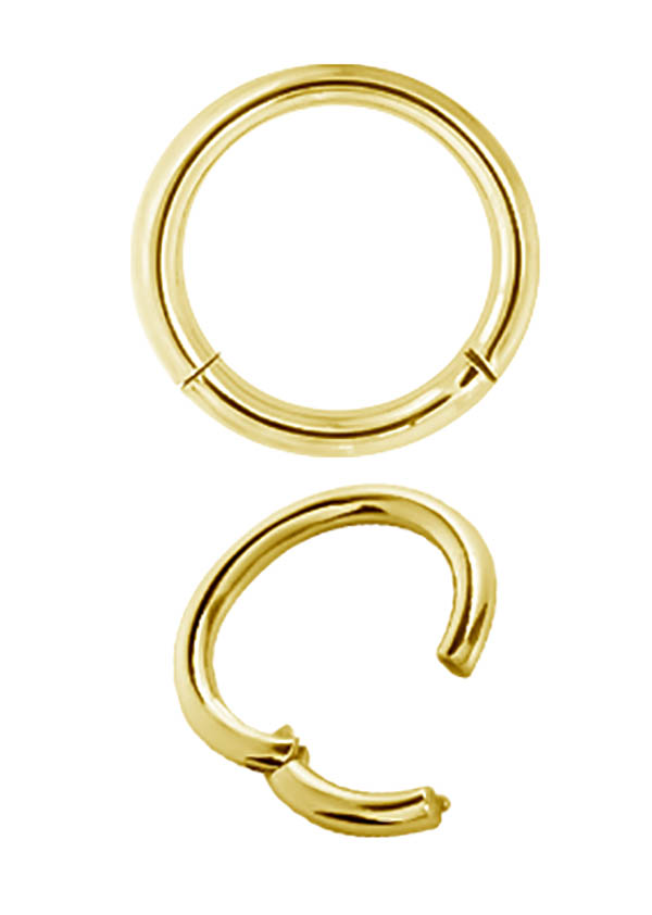 SS316L GOLD PVD HINGED SEGMENT RING (1.6MM)