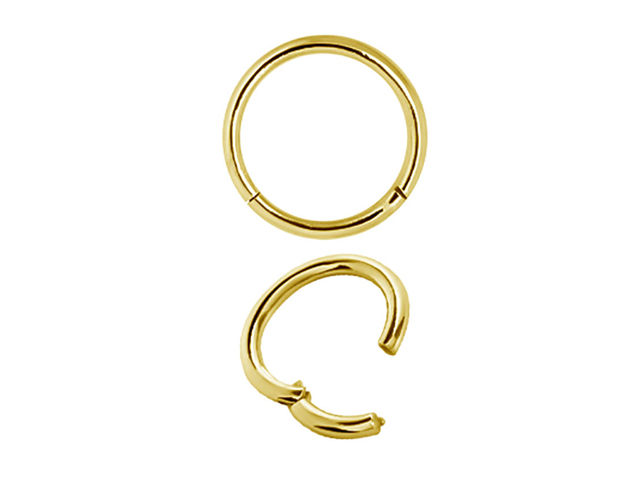 SS316L GOLD PVD HINGED SEGMENT RING (1.2MM)