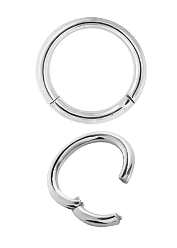 SS316L HINGED SEGMENT RING (1.6MM)