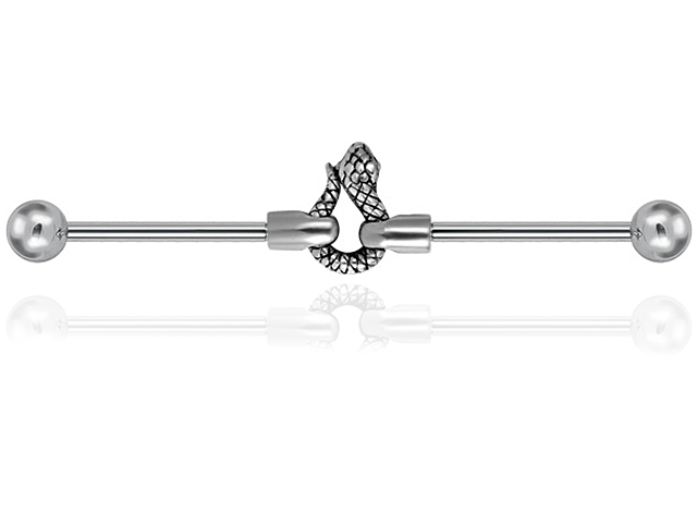 316L CASTING INDUSTRIAL EXTENTION BARBELL