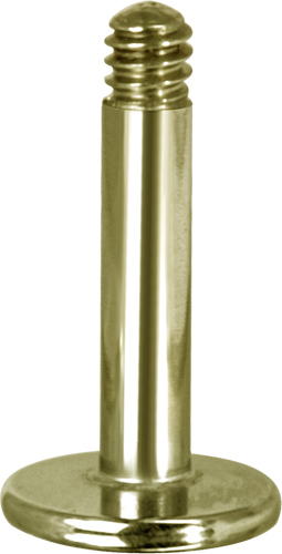 SS316L ZIRCON GOLD PVD LABRET PINS (STEMS)