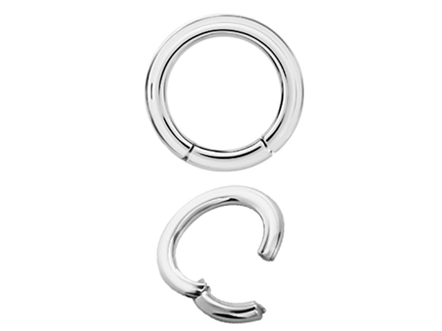 SS316L HINGED SEGMENT RINGS 08GA