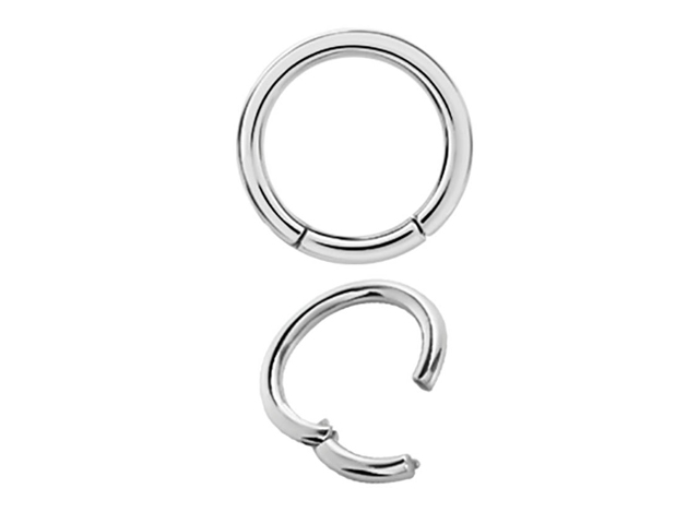 SS316L HINGED SEGMENT RINGS 10GA