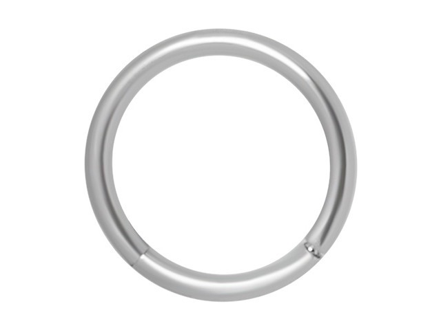 SS316L HINGED SEGMENT RING (1.0MM)