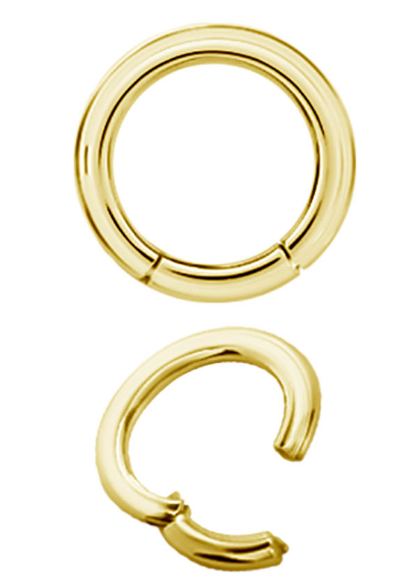 SS316L GOLD HINGED SEGMENT RINGS 3.2MM