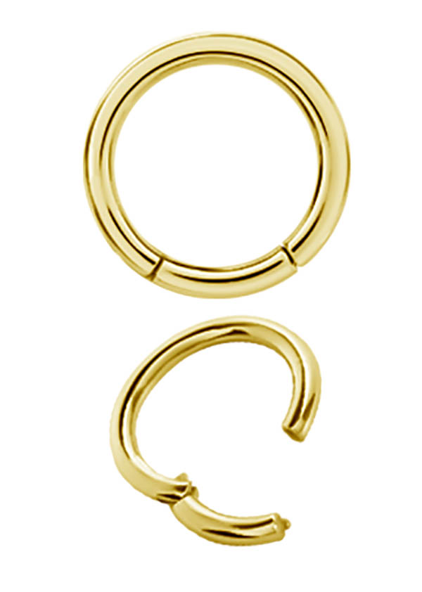 SS316L GOLD HINGED SEGMENT RINGS 2.5MM