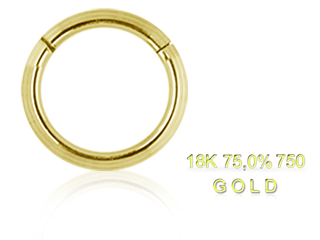 18K GOLD HINGED SEGMENT RING 18GA (1.0x08MM)