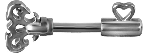 SS316L DOUBLE HELIX MICRO BARBELLS (KEY)