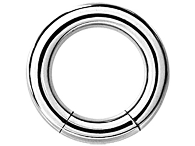 SS316L SMOOTH SEGMENT RING