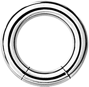 SS316L SMOOTH SEGMENT RING