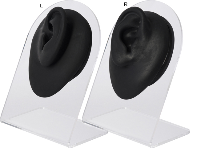 SILICONE BODY PARTS DISPLAY WITH ACRYLIC STAND (EAR)