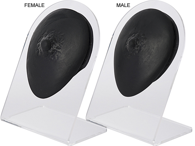 SILICONE BODY PARTS DISPLAY WITH ACRYLIC STAND (NIPPLE)