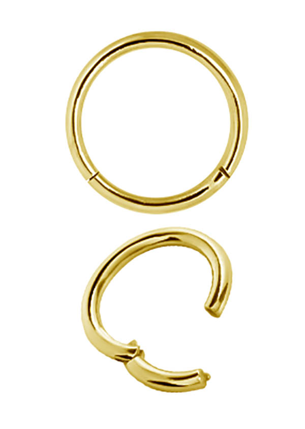 SS316L GOLD PVD HINGED SEGMENT RING (1.0MM)