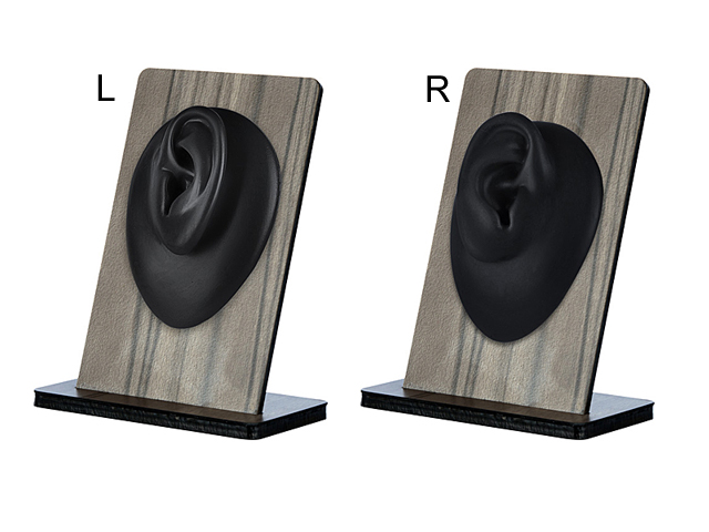 SILICONE BODY PARTS  DISPLAY ON VENEER WOOD STAND