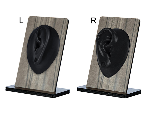 SILICONE BODY PARTS  DISPLAY ON VENEER WOOD STAND