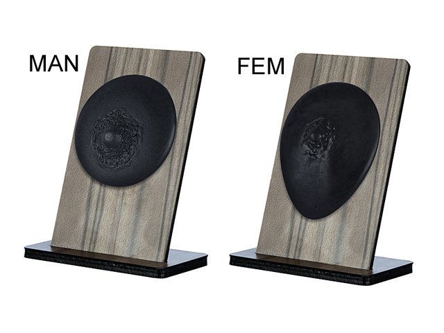 SILICONE BODY PARTS  DISPLAY ON VENEER WOOD STAND