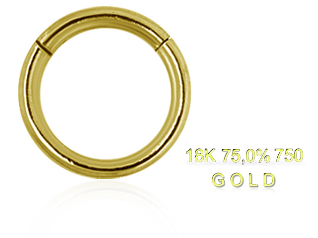 18K GOLD HINGED SEGMENT RING 14GA (1.6x07MM)