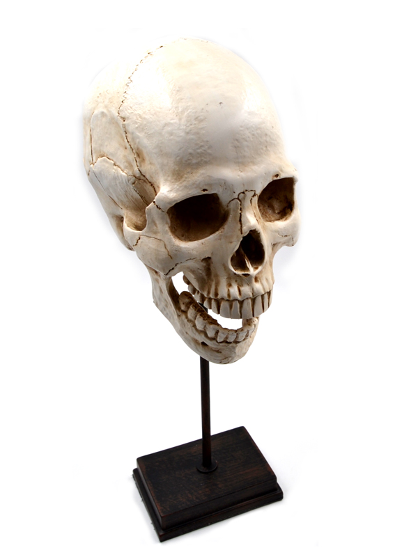 Deko "Skull" (ca.38cm hoch)