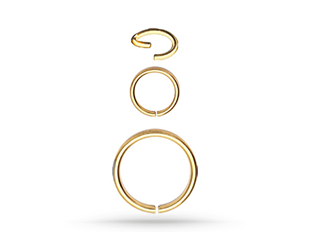 SS316L GOLD PVD STEEL CONTINUOUS RING