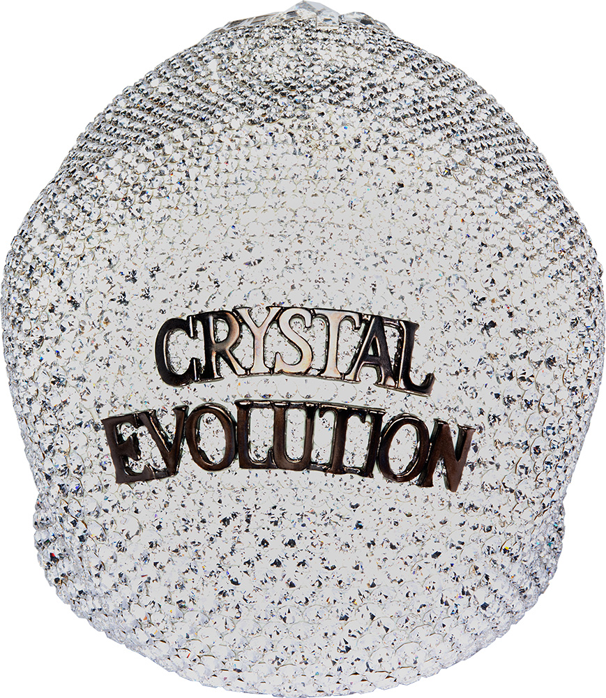 CRYSTAL SKULL SHOWPIECE (WHITE W. COSMIC CRYSTAL DESIGN)